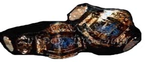 WWA Tag Team Championship