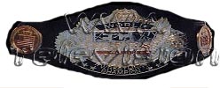 WWA Television Championship